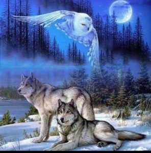 Membership For Canund Nation Free